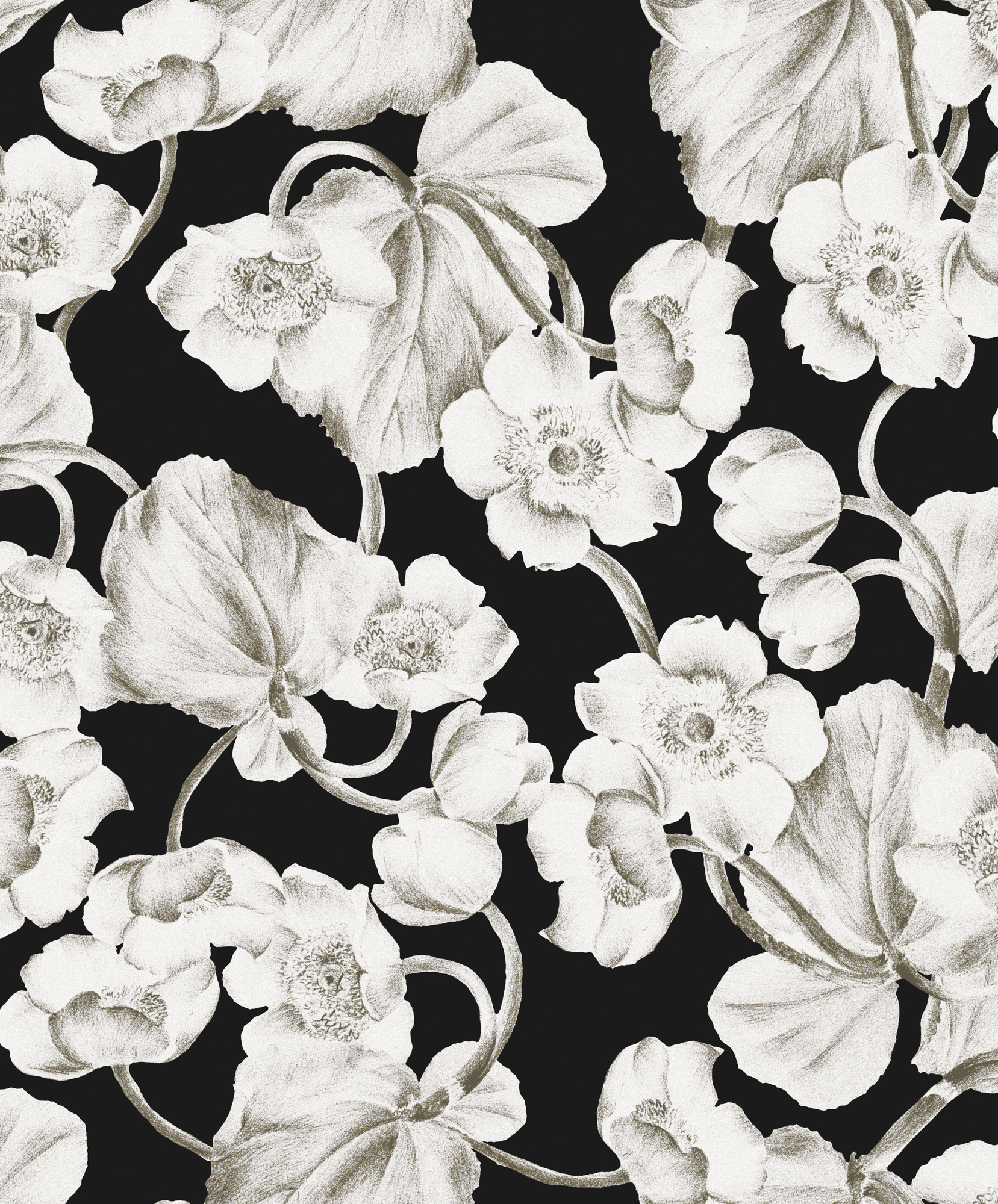 Black And White Flower Wallpaper Khroma By Masureel
